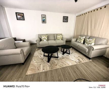 American Sofa (S154)