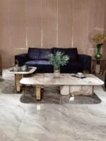 Double Coffee Table (XY-T215)