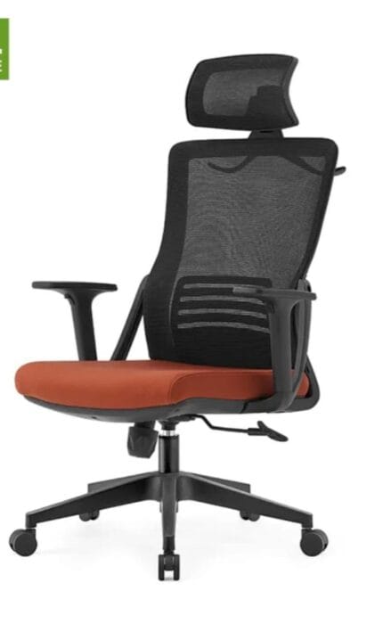 Echo Orthopedic Office Chair