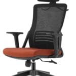 Echo Orthopedic Office Chair