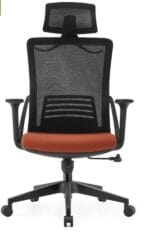 Echo Orthopedic Office Chair