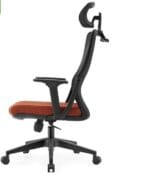 Echo Orthopedic Office Chair