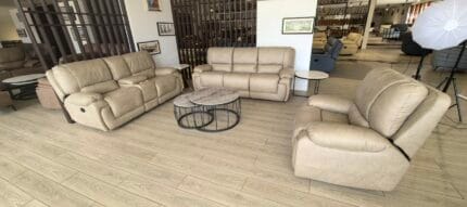 Recliner (S248)