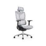 Ultra-Egornomic Office chair